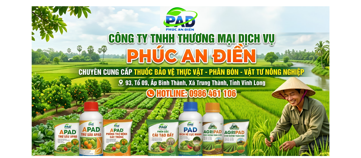 HP - Kiến tạo không gian sống