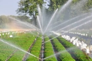 Kỹ Thuật Tưới Tiêu Thông Minh: Giải Pháp Tiết Kiệm Nước Và Tối Ưu Hóa Hiệu Quả Canh Tác