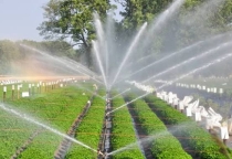 Kỹ Thuật Tưới Tiêu Thông Minh: Giải Pháp Tiết Kiệm Nước Và Tối Ưu Hóa Hiệu Quả Canh Tác