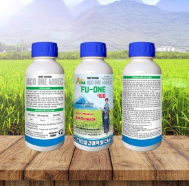 FU-ONE ( APAD )
