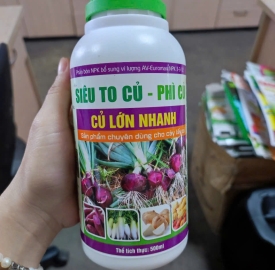 SIÊU TO CỦ-PHÌ CỦ