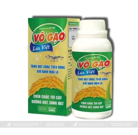 VÔ GẠO LÚA VIỆT