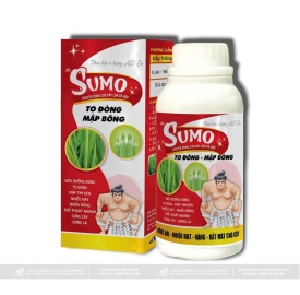 SUMO TO ĐÒNG 