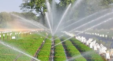 Kỹ Thuật Tưới Tiêu Thông Minh: Giải Pháp Tiết Kiệm Nước Và Tối Ưu Hóa Hiệu Quả Canh Tác