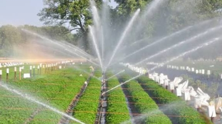 Kỹ Thuật Tưới Tiêu Thông Minh: Giải Pháp Tiết Kiệm Nước Và Tối Ưu Hóa Hiệu Quả Canh Tác