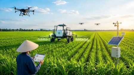 Ứng Dụng Công Nghệ Số Trong Canh Tác: Giải Pháp Nâng Cao Chuỗi Giá Trị Nông Sản