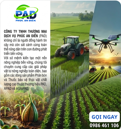 CAM KẾT CỦA CHÚNG TÔI – CHẤT LƯỢNG & UY TÍN HÀNG ĐẦU