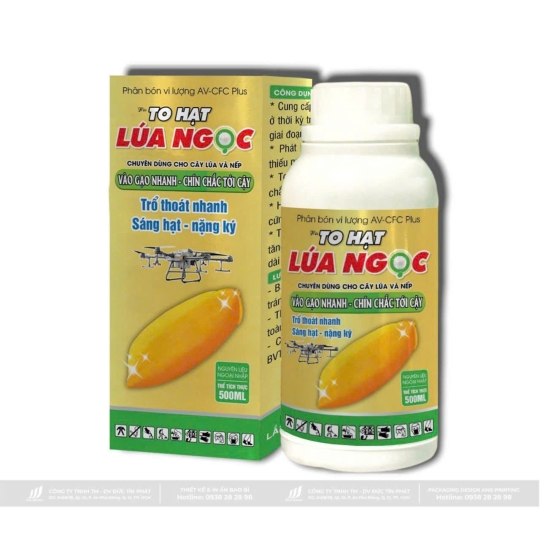 TO HẠT LÚA NGỌC