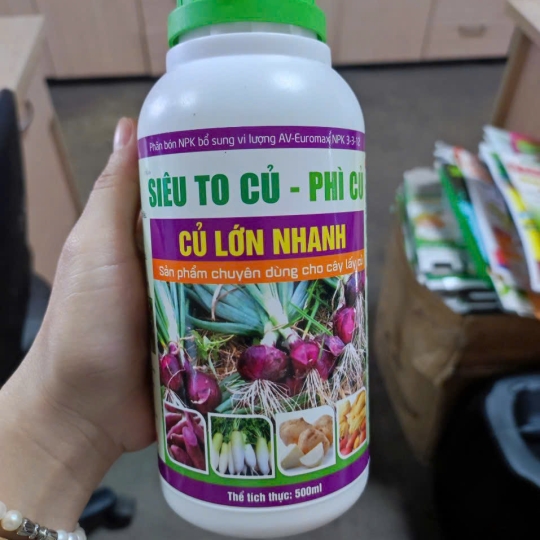 SIÊU TO CỦ-PHÌ CỦ