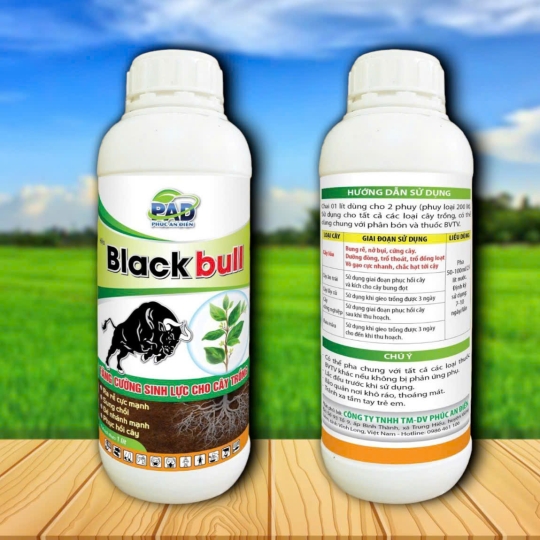 BLACK BULL